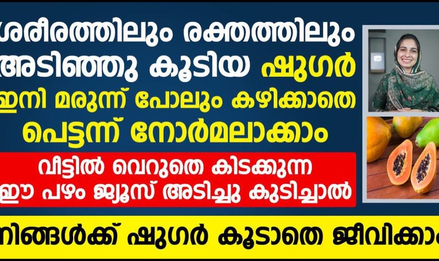 ഷുഗർ കൂടാതെ ജീവിക്കുന്നതിനുവേണ്ടി നിങ്ങൾ ഈ പഴം ജ്യൂസ് അടിച്ചു കുടിക്കുക