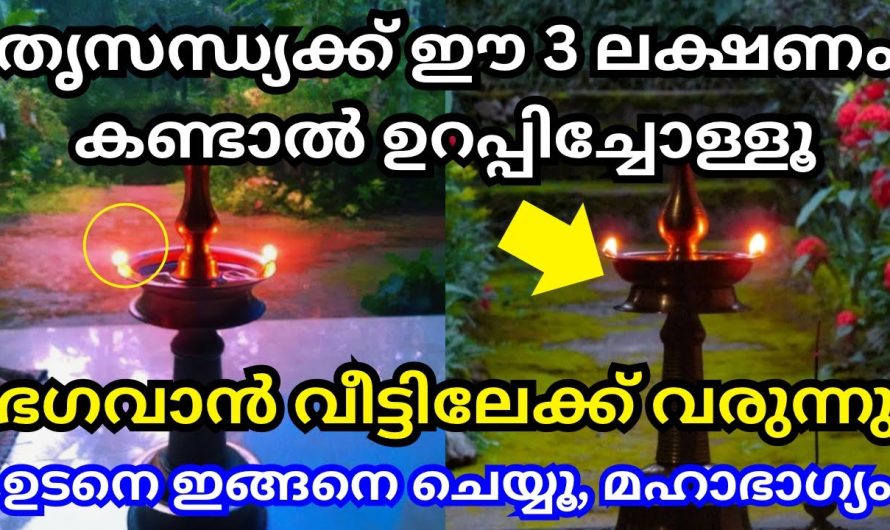 ഈ ലക്ഷണങ്ങൾ നിങ്ങളുടെ വീട്ടിൽ പ്രതിസന്ധിയെ സമയത്ത് കാണുക ആണ് എന്ന് ഉണ്ടെങ്കിൽ നിങ്ങൾ ഒരു കാര്യം ഉറപ്പിച്ചോളൂ നിങ്ങളുടെ ജീവിതം രക്ഷപ്പെട്ടു