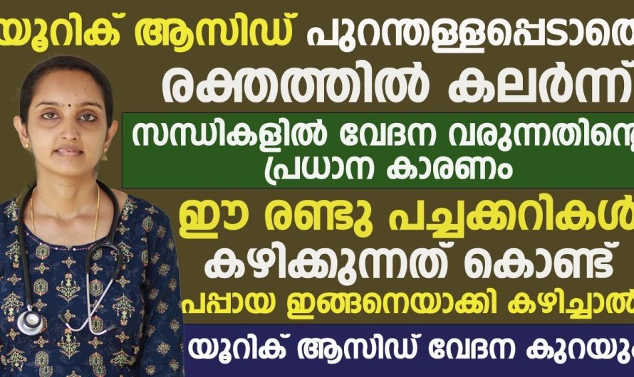 ഈ രണ്ട് പച്ചക്കറികളാണ് യൂറിക്കാസിഡ് വിട്ട് മാറാതെ സന്ധികളിൽ വേദന ഉണ്ടാകുന്നതിനുള്ള കാരണം