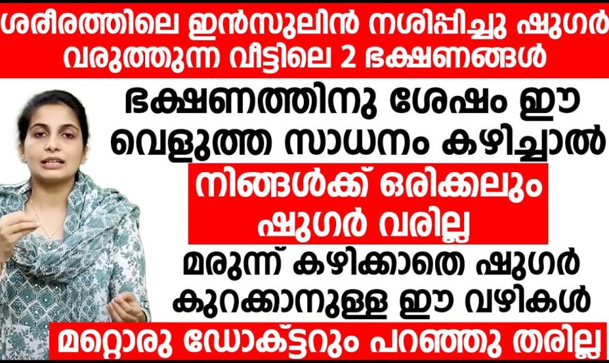 നിങ്ങൾ സാധാരണ ഭക്ഷണം കഴിച്ചതിനുശേഷം ഒപ്പം ഈ വെളുത്ത സാധനം കൂടി കഴിക്കുക ആണ് എന്ന് ഉണ്ടെങ്കിൽ നിങ്ങൾക്ക് ഷുഗർ കണ്ട്രോളിൽ കൊണ്ടുവരാൻ വേണ്ടി സാധിക്കും