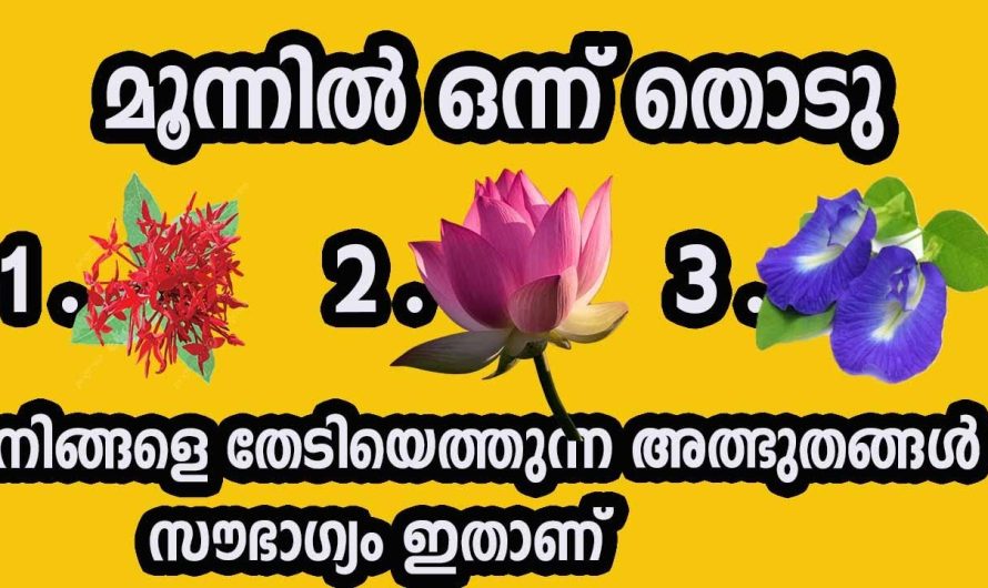 നമ്മുടെ ജീവിതത്തിൽ നടക്കാൻ പോകുന്ന കാര്യങ്ങൾ മുൻകൂട്ടി അറിയാൻ സഹായിക്കുന്ന മാർഗം… വിശദമായ അറിയാം…