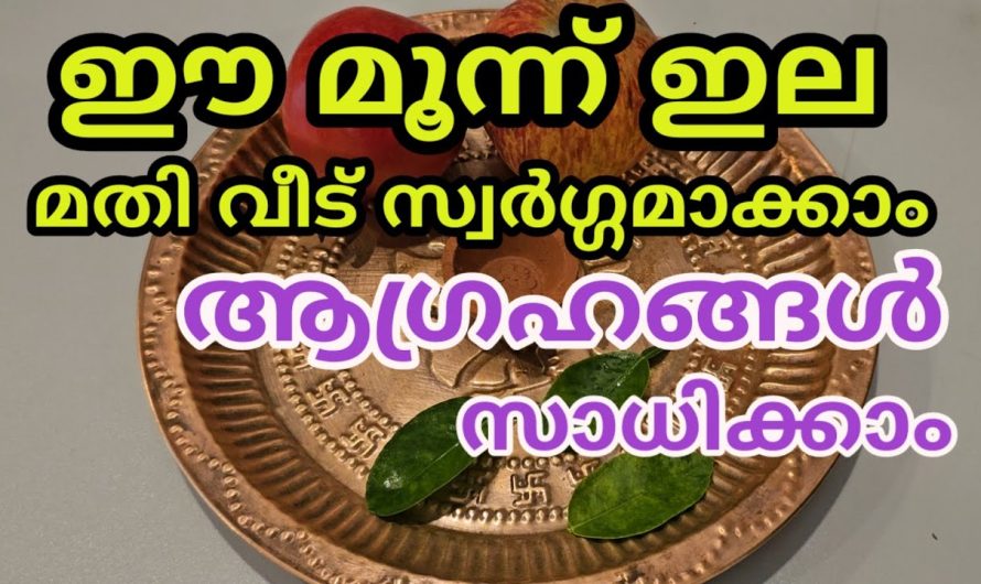 തൊഴിലിൽ ലാഭവും ഒരുപാട് ഉയർച്ചകളും ഉണ്ടാവാൻ സഹായിക്കുന്ന ഒരു താന്ത്രിക കർമ്മം…