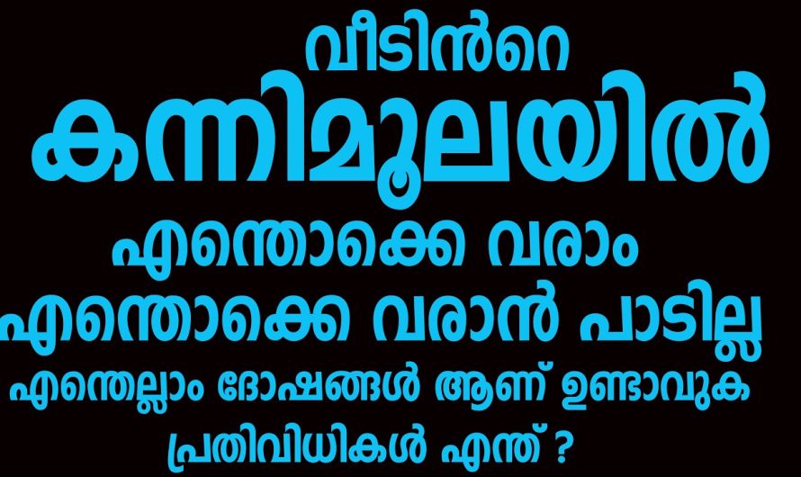 കന്നിമൂലയിൽ വാസ്തുശാസ്ത്രപ്രകാരം ടോയ്ലറ്റ് അല്ലെങ്കിൽ ബെഡ്റൂം വന്നു കഴിഞ്ഞാൽ