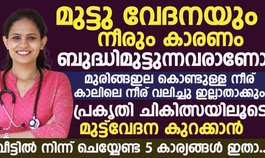 മുട്ട് വേദന കൊണ്ട് ബുദ്ധിമുട്ടുന്ന ആളുകൾ ആണോ നിങ്ങൾ. മുരിങ്ങ ഇല കൊണ്ട് മുട്ടുവേദന മാറ്റാം അതും വീട്ടിൽ നിന്നുകൊണ്ട്