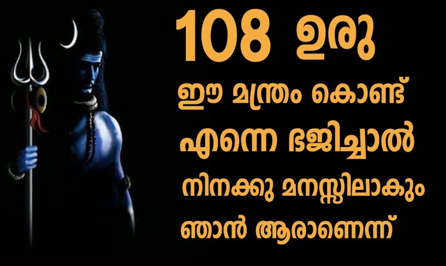 നിങ്ങളുടെ ജീവിതം ധന്യമാക്കുന്നതിന് ഈ മന്ത്രം നിങ്ങൾ ദിവസവും ഉരുവിട്ട് ശിവനെ ആരാധിക്കുക