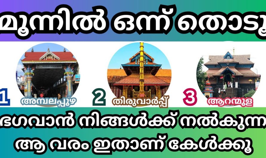 ഭഗവാൻ നിങ്ങൾക്ക് നൽകുന്ന ആ ഒരു അനുഗ്രഹം വരം എന്താണ് എന്ന് അറിയുന്നതിന് വേണ്ടി നിങ്ങൾ ഈ മൂന്ന് ചിത്രങ്ങളിൽ ഒന്ന് തൊടുക