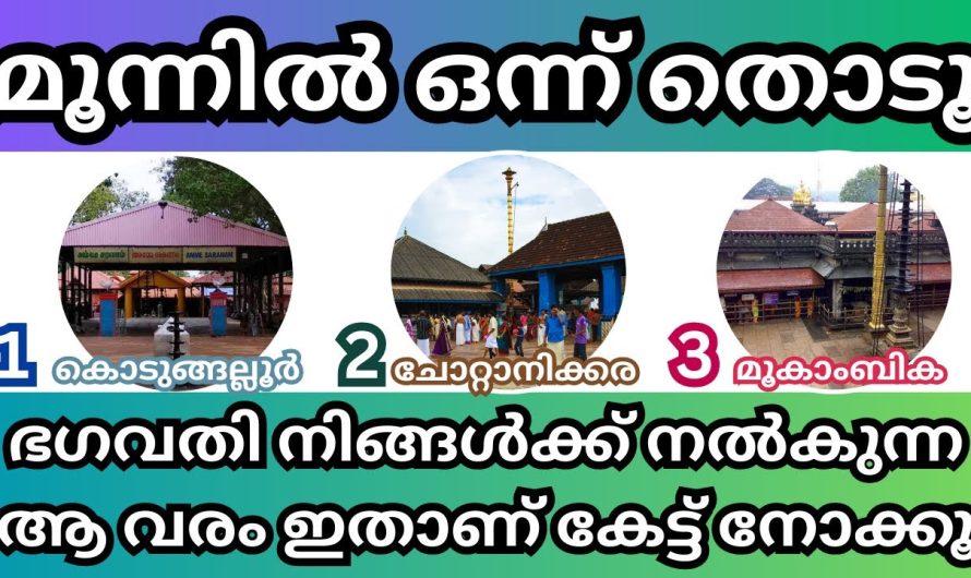 ഇന്ന് വിജയദശമി നിങ്ങൾ ഒരു ആഗ്രഹം മനസ്സിൽ പറഞ്ഞു ഈ മൂന്ന് ചിത്രങ്ങളിൽ ഒന്ന് തെരഞ്ഞെടുക്കു ആഗ്രഹം നടന്നിരിക്കും