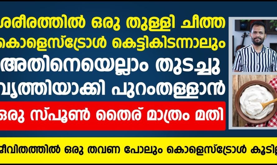 കൊളസ്ട്രോൾ എന്നുള്ളത് ശരീരത്തിൽ അപകടകാരിയാണോ.. ഇത് ശരീരത്തിൽ ചെയ്യുന്ന ധർമ്മങ്ങൾ എന്തൊക്കെയാണ്..