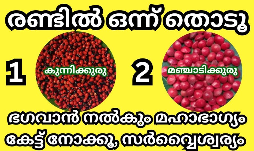 ഈ രണ്ടിൽ ഒന്ന് തൊടുമ്പോൾ അവൻ നിങ്ങൾക്ക് നൽകുന്ന ഐശ്വര്യം എന്താണ് എന്ന് കണ്ടു നോക്കൂ. തൊടുകുറി ഫലം