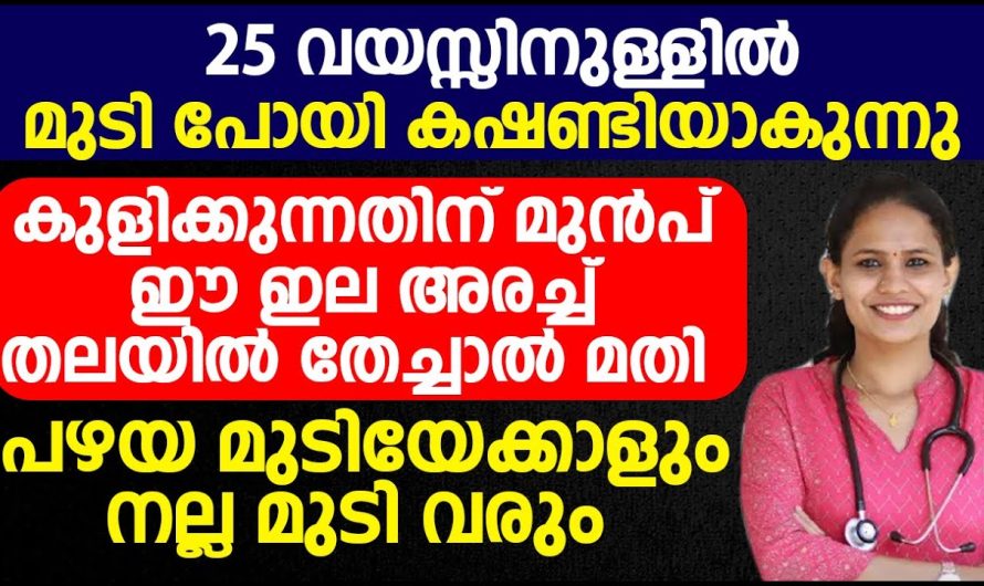 ഇതിൻറെ നീര് കുളിക്കുന്നതിനു മുമ്പ് തലയിൽ പുരട്ടി കുളിച്ചു നോക്കൂ 25 വയസ്സിനുള്ളിൽ ഉണ്ടാകുന്ന മുടികൊഴിച്ചിൽ എല്ലാം തന്നെ വളരെ പെട്ടെന്ന് മാറ്റാം