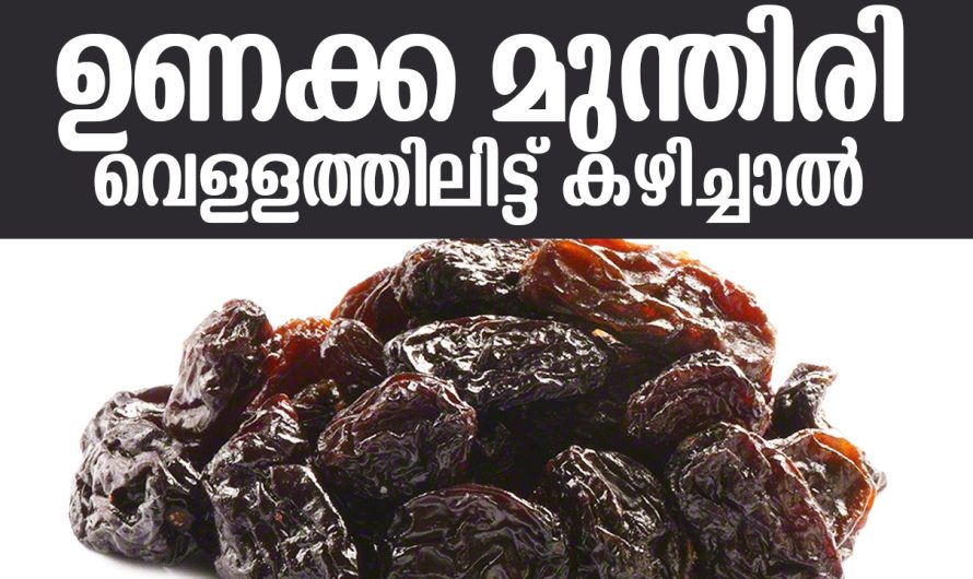 ദിവസവും ഉണക്കമുന്തിരി വെള്ളത്തിലിട്ട് കുതിർത്ത് കഴിച്ചാൽ ശരീരത്തിന് ലഭിക്കുന്ന ബെനിഫിറ്റുകളെ കുറിച്ച് അറിയാം…