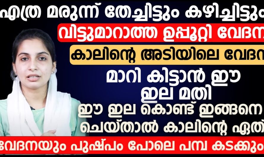 എത്ര മരുന്നുകൾ കഴിച്ചിട്ടും വിട്ടുമാറാത്ത ഉപ്പൂറ്റി വേദന കാരണം ബുദ്ധിമുട്ടുന്നവരാണ് നിങ്ങളെങ്കിൽ  ഈ ഇൻഫർമേഷൻ അറിയാതെ പോകരുത്…