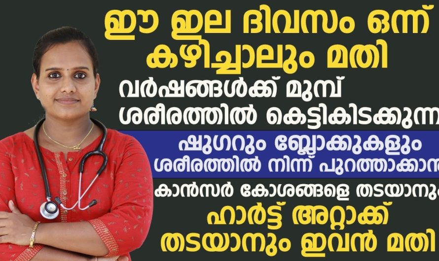 പഴങ്ങളിലെ ഏറ്റവും കേമൻ പേരക്ക തന്നെ.. പേരക്കയുടെ ഔഷധഗുണങ്ങളെ കുറിച്ച് മനസ്സിലാക്കാം..