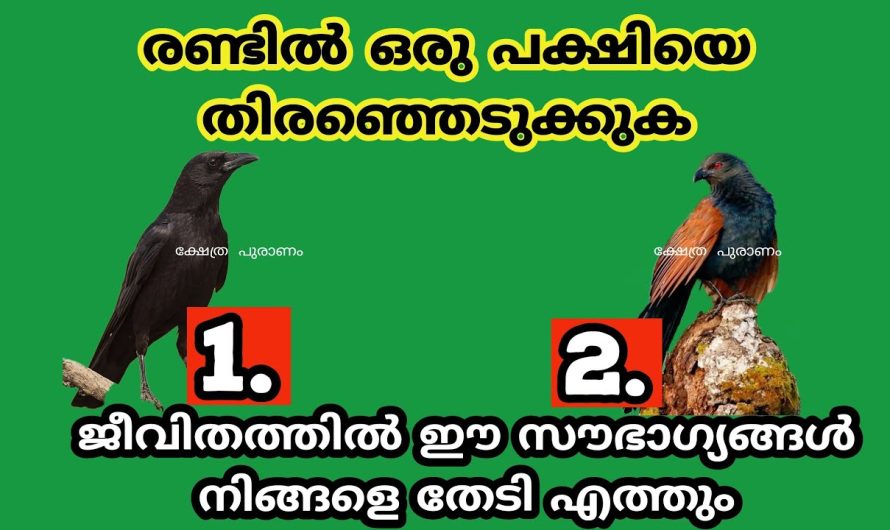 തൊടുകുറി ശാസ്ത്രത്തിലൂടെ ജീവിതത്തിൽ നിങ്ങളെ കാത്തിരിക്കുന്ന സൗഭാഗ്യങ്ങളെ കുറിച്ച് മനസ്സിലാക്കാം..