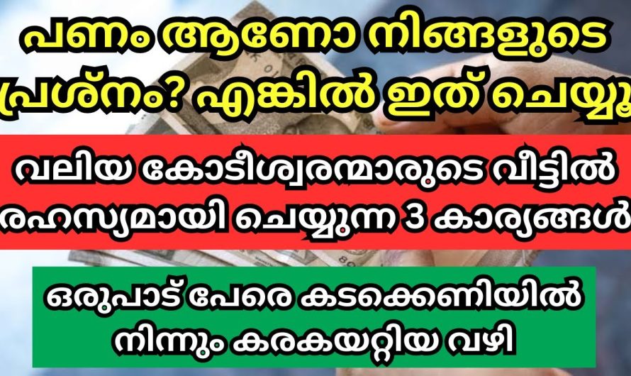 കടക്കിടയിൽ നിന്ന് കോടീശ്വര സ്ഥാനത്തേക്ക് ഉയരാൻ ഒരുപാട് ആളുകളെ സഹായിച്ച ഒരു വിദ്യ ആണ് ഇത്