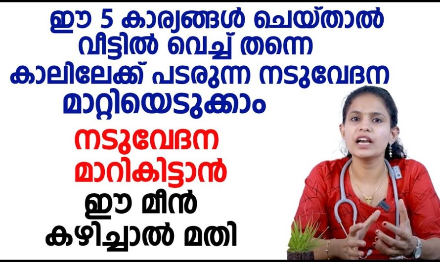 ഈയൊരു മീൻ കഴിച്ചുകൊണ്ട് നടുവേദന മാറ്റിയെടുക്കാം