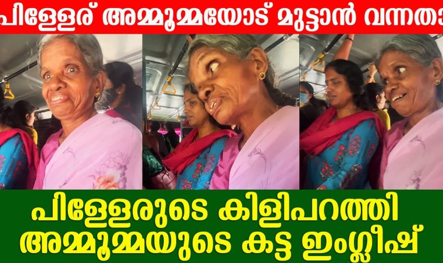 ഇപ്പോൾ സോഷ്യൽ മീഡിയകളിൽ വൈറലാകുന്നത് ബസ്സിൽ ക്ലിയോപാട്രയുടെ കഥ പറയുന്ന അമ്മയാണ്…