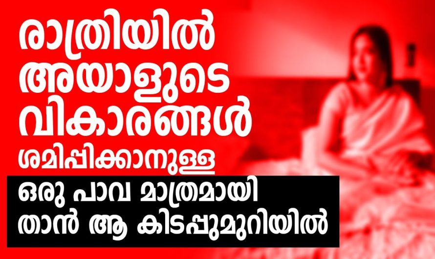 തൻറെ ഭാര്യയെ വീട്ടിലെ വേലക്കാരിയായി മാത്രം കണ്ട ഭർത്താവിനോട് ഭാര്യ ചെയ്തത് കണ്ടോ….