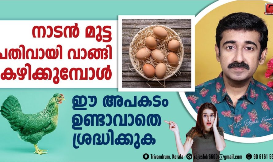 നാടൻ മുട്ട കഴിക്കുന്നത് കൊണ്ട് അലർജി പ്രശ്നങ്ങൾ ഉണ്ടാകുമോ.. വിശദമായി അറിയാം..