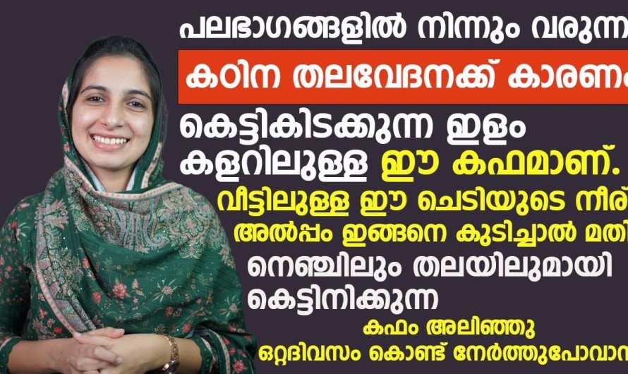 കുറ്റം മാറാതെ അവിടെ നിന്നും ഇവിടെ നിന്നും ഒക്കെ ആയി വരുന്ന തലവേദന പ്രശ്നത്തിന് ഉള്ള പ്രധാന കാരണം കഫം ഇങ്ങനെ കെട്ടിക്കിടക്കുന്നത് ആണ്