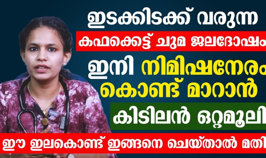 ഇടയ്ക്ക് ഇടയ്ക്ക് വരുന്ന ചുമ ജലദോഷം തുമ്മൽ എന്നിവ ഒക്കെ വിട്ടു മാറുന്നതിന് വേണ്ടി ഒരു ഒറ്റമൂലി