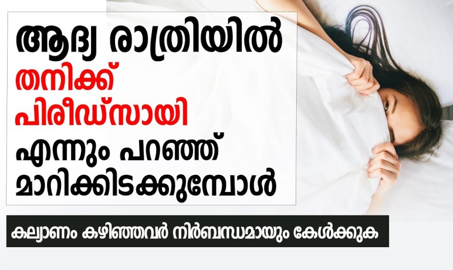 സ്നേഹനിധിയായ ഭർത്താവിനെ തെറ്റിദ്ധാരണയുടെ പേരിൽ ഭാര്യ ഒഴിവാക്കി നടന്നപ്പോൾ ഭർത്താവ് ചെയ്തത് കണ്ടോ…