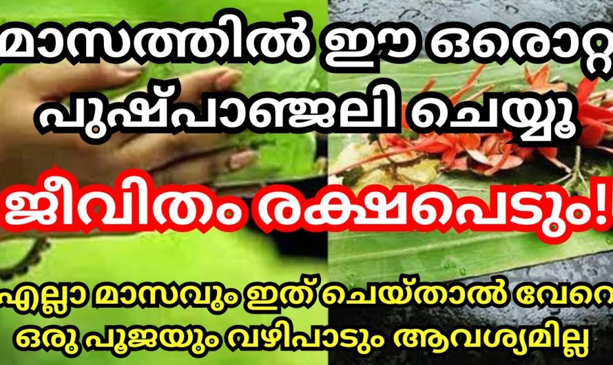 മാസത്തിൽ ഈ ഒരൊറ്റ പുഷ്പാഞ്ജലി ചെയ്താൽ മതി ജീവിതം രക്ഷപ്പെടും നൂറു വഴിപാടുകൾ ചെയ്യേണ്ട ആവശ്യമില്ല