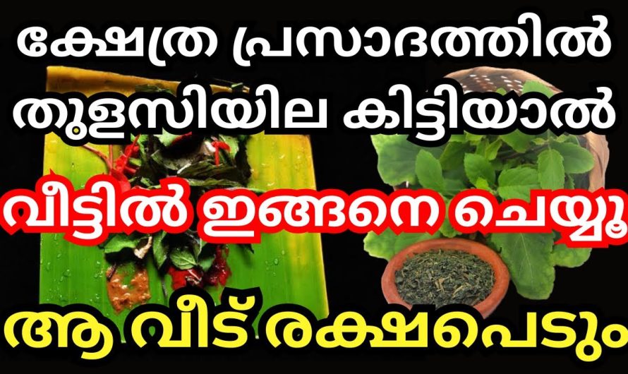 പ്രസാദത്തിൽ നിങ്ങൾക്ക് തുളസിയില ലഭിക്കുക ആണ് എന്ന് ഉണ്ടെങ്കിൽ അത് മഹാഭാഗ്യം നിങ്ങൾ അതുകൊണ്ടുതന്നെ ഇങ്ങനെ ചെയ്യൂ