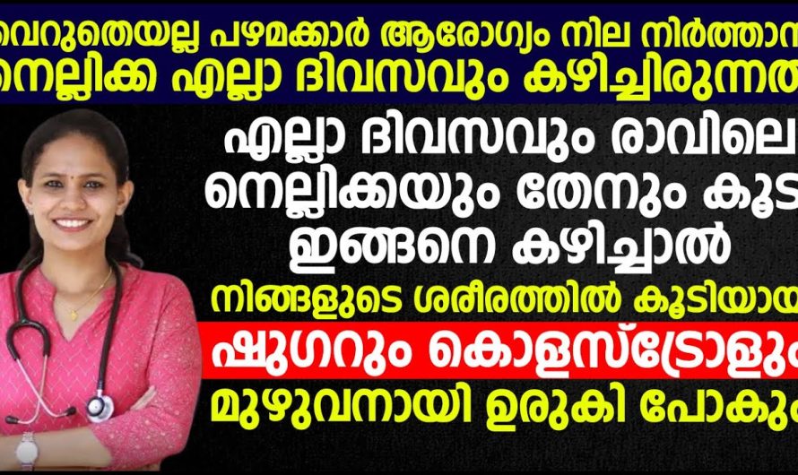 നിങ്ങളുടെ പ്രമേഹവും കൊളസ്ട്രോളും പെട്ടെന്ന്  ഉരുക്കിപ്പോകും ഇത് കഴിച്ചാൽ