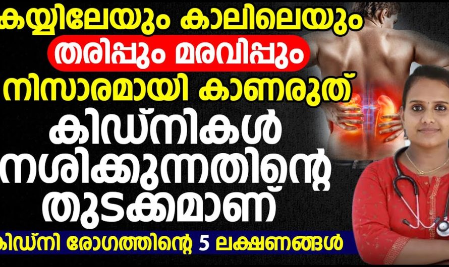 കൈയിലും കാലിലും ഉണ്ടാകുന്ന തരിപ്പ് അതുപോലെതന്നെ പെരുപ്പ് എന്നിവ നിങ്ങൾ തീരെ അവഗണിക്കരുത്