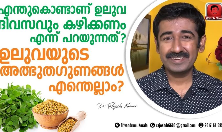 ഉലുവ ദിവസവും കഴിക്കുന്നതിലൂടെ ശരീരത്തിന് ലഭിക്കുന്ന പ്രധാനപ്പെട്ട ബെനിഫിറ്റുകളെ കുറിച്ച് മനസ്സിലാക്കാം…