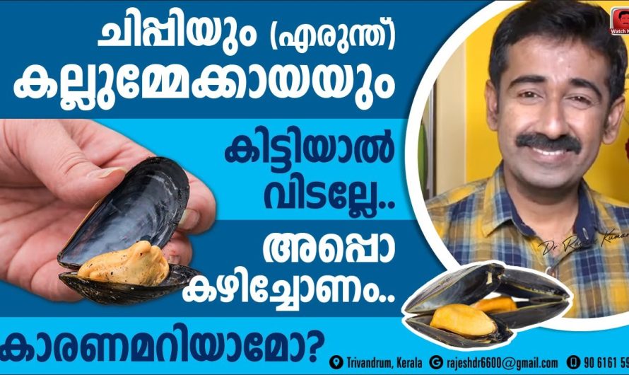 കടലിൽ നിന്ന് ലഭിക്കുന്ന ഷെൽഫിഷുകൾ കഴിക്കുന്നത് കൊണ്ട് ശരീരത്തിന് ലഭിക്കുന്ന പ്രധാന ബെനിഫിറ്റുകളെ കുറിച്ച് മനസ്സിലാക്കാം…