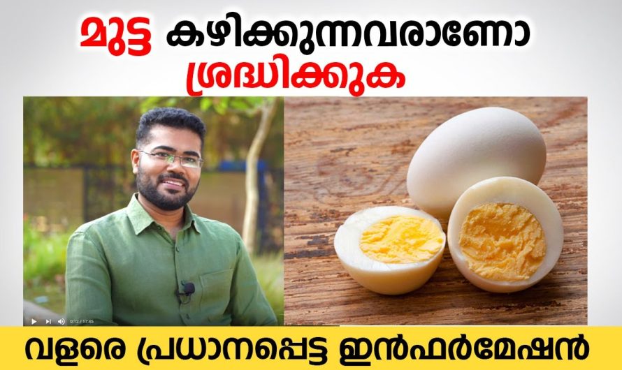 മുട്ട ദിവസവും കഴിക്കുന്നത് കൊണ്ട് നമ്മുടെ ആരോഗ്യപ്രശ്നങ്ങൾ കൂടാൻ സാധ്യത ഉണ്ടോ.. വിശദമായ അറിയാം…