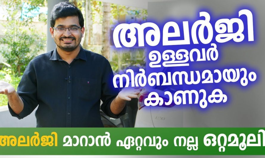 എത്ര വലിയ അലർജി പ്രശ്നങ്ങളും ഈ പറയുന്ന കാര്യങ്ങൾ ശ്രദ്ധിച്ചാൽ നമുക്ക് ഒരു പരിധിവരെ മാറ്റിയെടുക്കാൻ സാധിക്കും.. വിശദമായ അറിയാം…