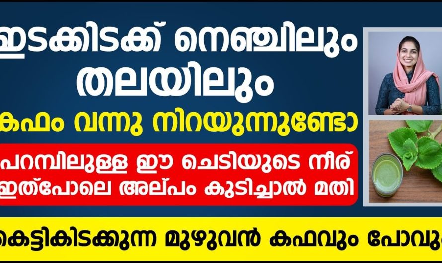 ശരീരത്തിൽ രോഗപ്രതിരോധശേഷി കുറഞ്ഞാൽ ഒരുപാട് അസുഖങ്ങൾ ബാധിക്കാറുണ്ട് പക്ഷേ രോഗപ്രതിരോധശേഷി കൂടി കഴിഞ്ഞാലോ? എന്താണ് സംഭവിക്കുക വിശദമായ അറിയാം…