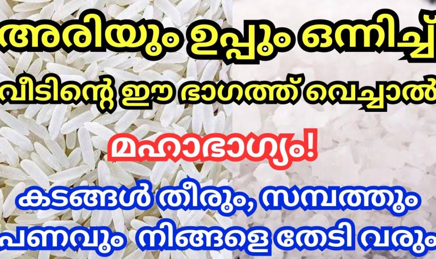 കടങ്ങൾ തീരും സമ്പത്ത് നിങ്ങളെ തേടിവരും നിങ്ങൾ വീടിന്റെ ഈ ഭാഗത്ത് ഇതുപോലെ അരിയും ഉപ്പും ഒന്നിച്ച് വയ്ക്കുക ആണ് എന്ന് ഉണ്ടെങ്കിൽ