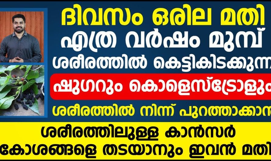 ലൈഫ് സ്റ്റൈൽ ഡിസീസസ് ഒന്നും വരാതിരിക്കാൻ സഹായിക്കുന്ന ഒരു കിടിലൻ എഫക്റ്റീവ് ഡിഷ് പരിചയപ്പെടാം…