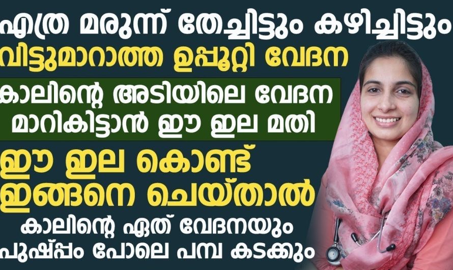 അത്രയൊക്കെ മരുന്ന് കഴിച്ചിട്ട് നിങ്ങൾക്ക് മാറാത്ത ഉപ്പുറ്റി വേദന മാറി കിട്ടുവാൻ നിങ്ങൾ ഇങ്ങനെ ചെയ്താൽ മതി