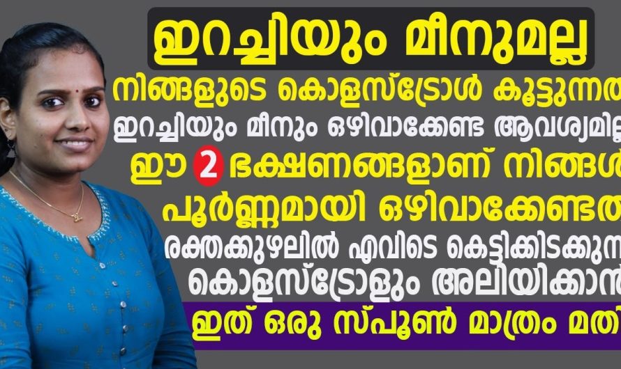 ശരീരത്തിൽ എത്ര കൂടിയ കൊളസ്ട്രോളും നിയന്ത്രണത്തിൽ കൊണ്ടുവരാൻ ഈ ഒരൊറ്റ കാര്യം ശ്രദ്ധിച്ചാൽ മതി..