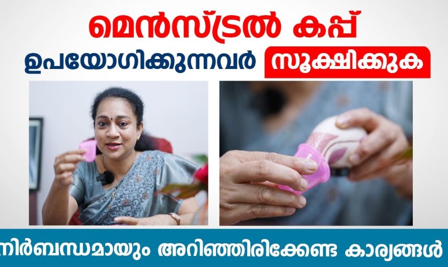 എന്തുകൊണ്ടും പേട്കളെക്കാൾ സുരക്ഷിതം മെൻസ്ട്രൽ കപ്പുകൾ ആണ് എന്ന് പറയുന്നതിന് പിന്നിലെ കാരണത്തെക്കുറിച്ച് അറിയാം…