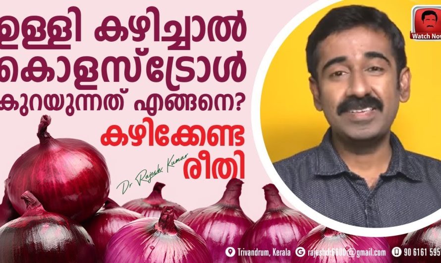 ഉള്ളി ദിവസവും കഴിക്കുന്നതിലൂടെ ശരീരത്തിന് ലഭിക്കുന്ന പ്രധാനപ്പെട്ട ബെനിഫിറ്റുകളെ കുറിച്ച് മനസ്സിലാക്കാം…