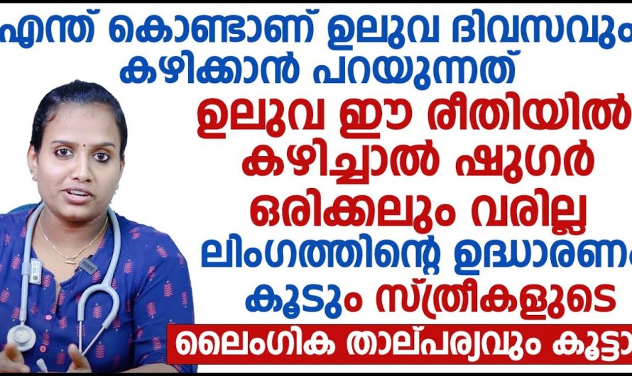 നിത്യേന നമ്മൾ ഭക്ഷണത്തിൽ ഉലുവ ഉപയോഗിക്കുന്നത് കൊണ്ട് ശരീരത്തിൽ എന്തെല്ലാം പ്രയോജനങ്ങളാണ് ഉണ്ടാകുന്നത്.. വിശദമായി അറിയാം..