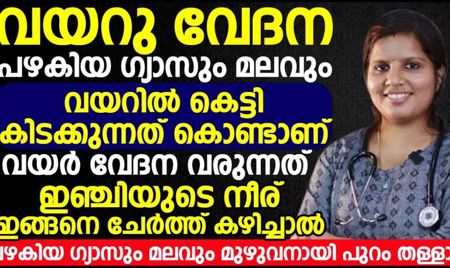 നിങ്ങളുടെ വയറ്റിൽ കെട്ടിക്കിടക്കുന്ന എത്ര പഴയ ഗ്യാസും മലവും പുറത്തുപോകാൻ ഇഞ്ചിയുടെ നീര് നിങ്ങൾ ഇങ്ങനെ കഴിച്ചാൽ മതി