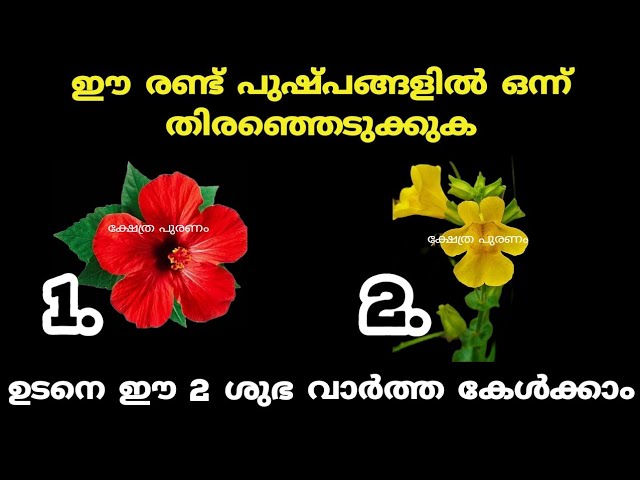 ഈ ഒരു തൊടുകുറി ശാസ്ത്രംവഴി  നിങ്ങളുടെ ജീവിതത്തിൽ സംഭവിക്കാൻ പോകുന്ന കാര്യങ്ങളെക്കുറിച്ച് മുൻകൂട്ടി അറിയാം…