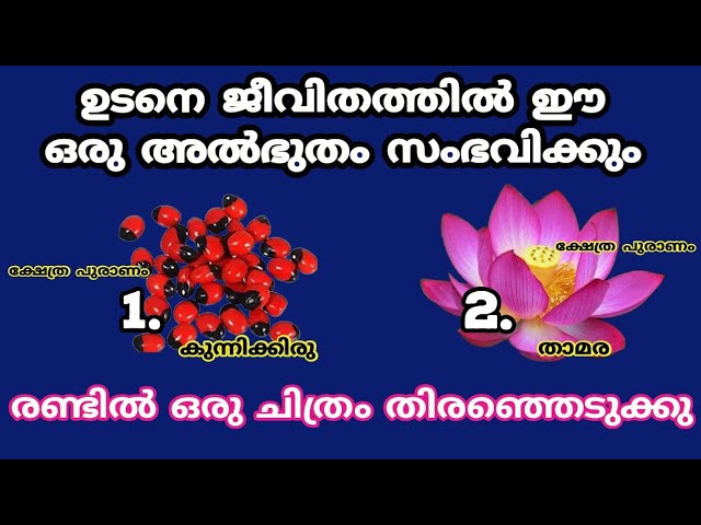 നിങ്ങളുടെ ജീവിതത്തിൽ സംഭവിക്കാൻ പോകുന്ന മാറ്റങ്ങളെ കുറിച്ച് തൊടുകുറി ശാസ്ത്രം വഴി മുൻകൂട്ടി അറിയാം…