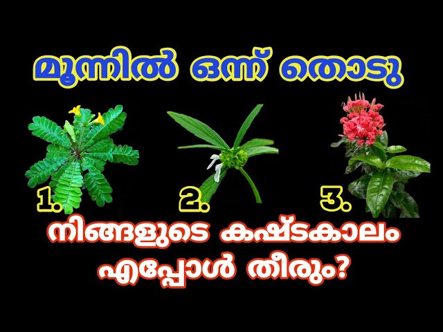 ഇവിടെ നൽകിയിരിക്കുന്ന ചിത്രങ്ങളിൽ ഒരെണ്ണം തെരഞ്ഞെടുത്താൽ നിങ്ങളെ കാത്തിരിക്കുന്ന ജീവിത രഹസ്യങ്ങളെ കുറിച്ച് മുൻപേ അറിയാം…