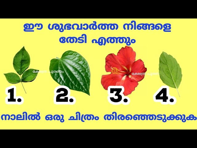 നിങ്ങളുടെ ജീവിതത്തിൽ നടക്കാൻ പോകുന്ന കാര്യങ്ങളെക്കുറിച്ച് മുൻപേ തന്നെ ഈ തൊടുകുറി ശാസ്ത്രം വഴി മനസ്സിലാക്കാം…