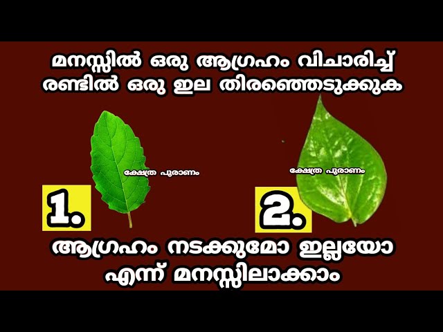 ഇവിടെ നൽകിയിരിക്കുന്ന രണ്ട് ഇലകളിൽ ഒരെണ്ണം തിരഞ്ഞെടുത്താൽ നിങ്ങളുടെ മനസ്സിലുള്ള ആഗ്രഹങ്ങൾ നടക്കുമോ അതോ ഇല്ലയോ എന്ന് അറിയാം…