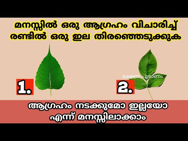 ഇവിടെ നൽകിയിരിക്കുന്ന ഇലകളിൽ ഒരെണ്ണം തിരഞ്ഞെടുത്താൽ നിങ്ങളുടെ മനസ്സിലെ ആഗ്രഹം നടക്കുമോ ഇല്ലയോ എന്ന് അറിയാം…