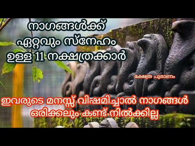 ജന്മനാൽ തന്നെ നാഗങ്ങളുമായി ബന്ധവും നാഗങ്ങളുടെ അനുഗ്രഹവും ഉള്ള നക്ഷത്രക്കാരെ കുറിച്ചു മനസ്സിലാക്കാം…